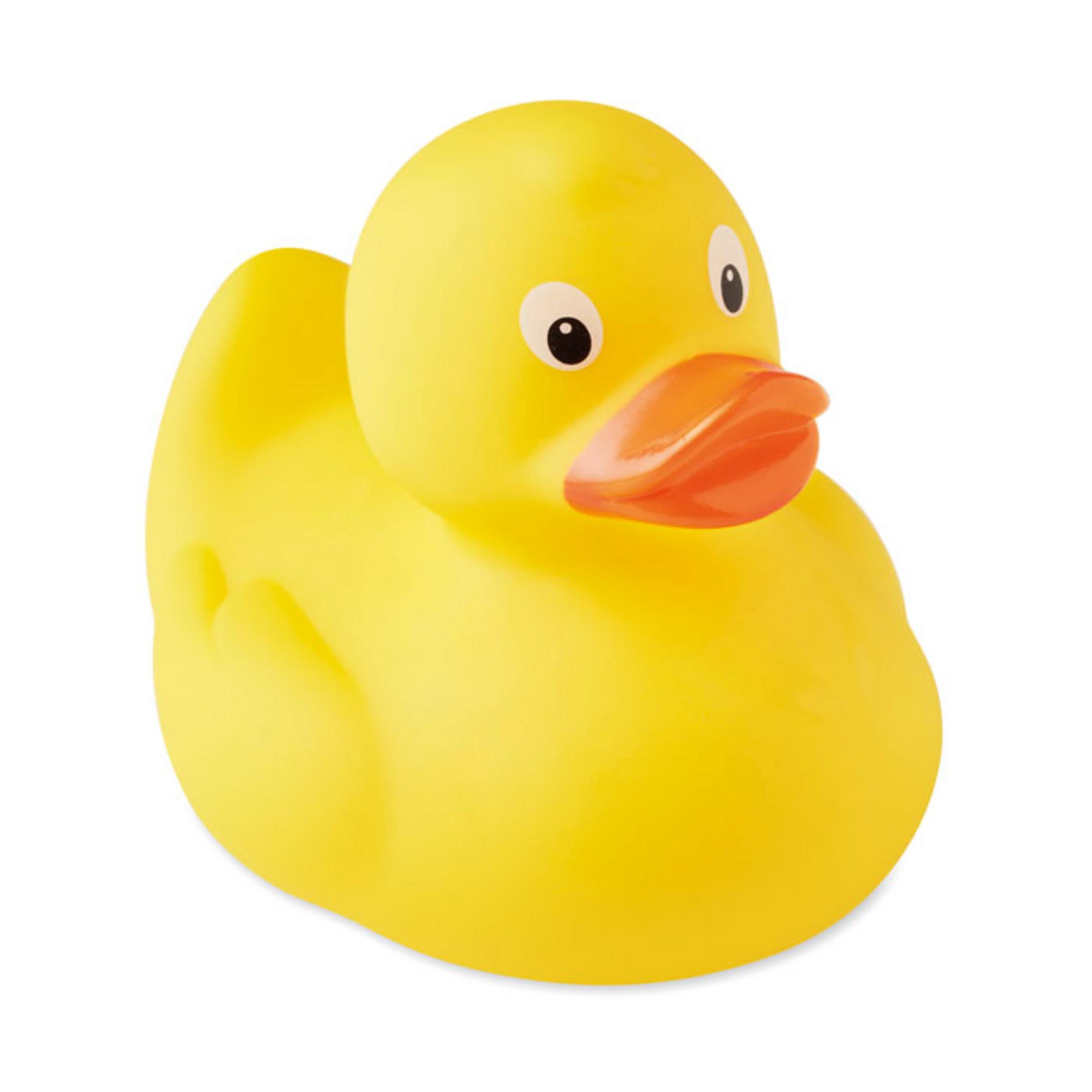 Ducks